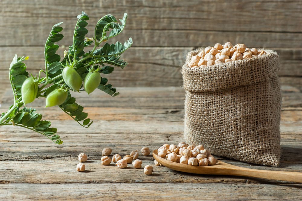 48 Amazing Foods That Are Rich In Fiber