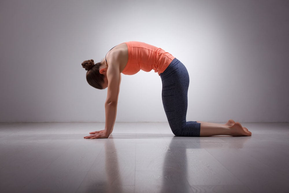 Marjariasana Yoga Pose And What Are Its Benefits
