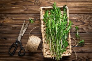 How Does Rosemary Help In Hair Growth?