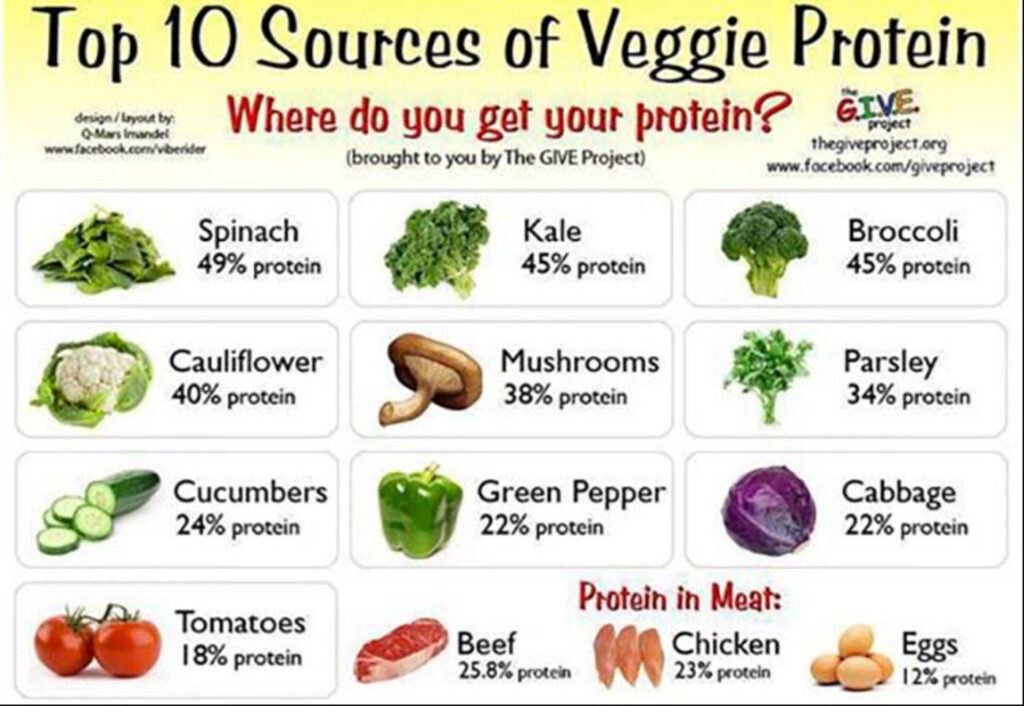 Protein-Rich Foods You Should Include In Your Diet 
