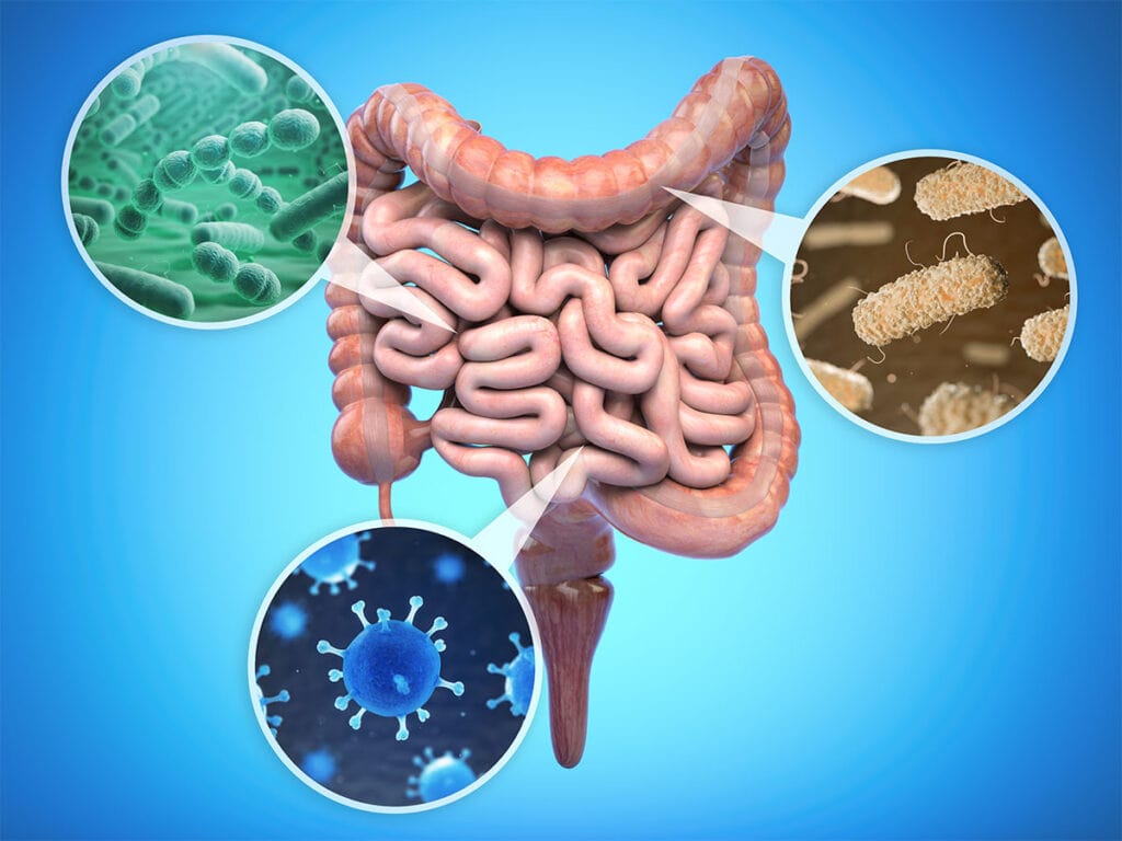 Gastrointestinal Infection – Characteristics, Types, and Treatment