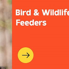 Bird & Wildlife Feeders