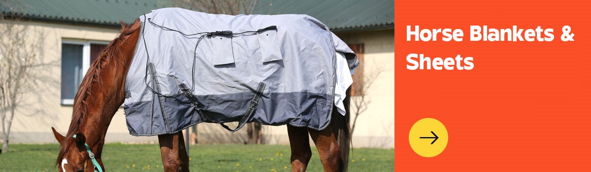 Horse Blankets & Sheets