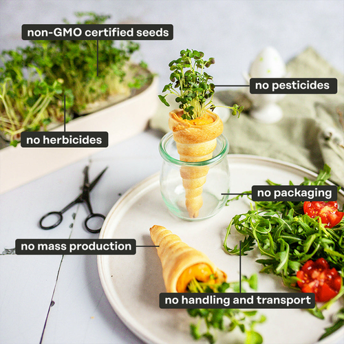 ingarden microgreens difference