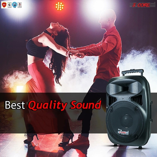 5 core speakers 15 inches dj speaker pa system passive bocinas stage subwoofer concert loud 5core pc 15 37502289314029