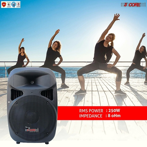 5 core speakers 15 inches dj speaker pa system passive bocinas stage subwoofer concert loud 5core pc 15 37502289477869